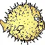 openbsd